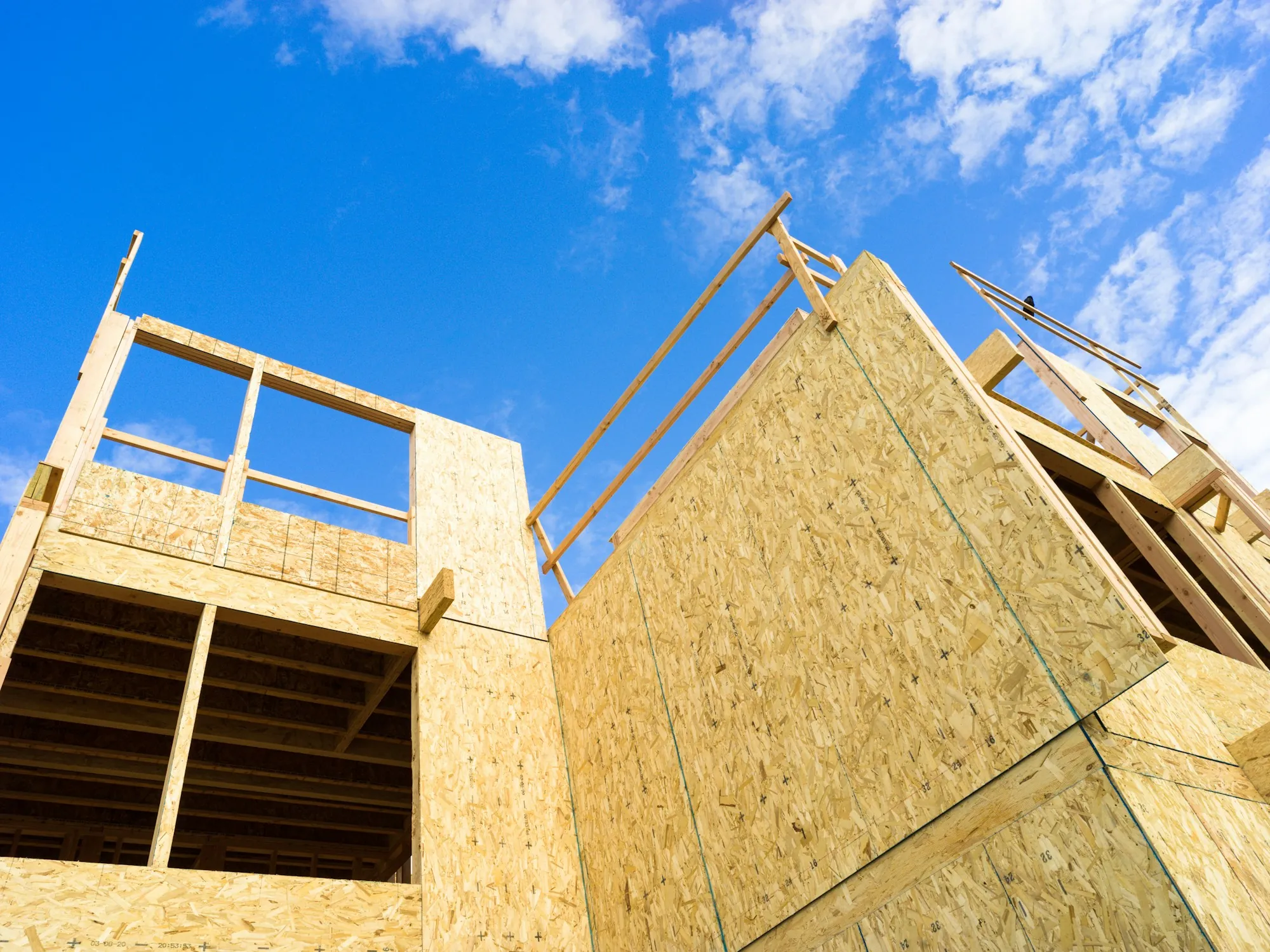 New wall framing and sheathing on a home under construction